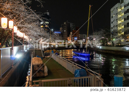 門前仲町 夜桜 門前仲町 夜桜 61623872