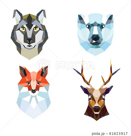 Polygonal portraits of fox, deer, wolf and polar bear. set of illustrations. 61623917