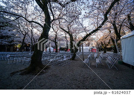 靖国神社 桜と能楽堂 靖国神社 桜と能楽堂 61624037