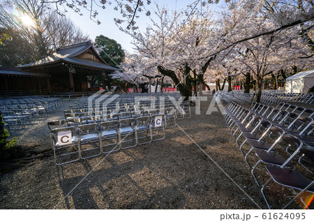 靖国神社 桜と能楽堂 靖国神社 桜と能楽堂 61624095