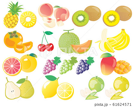 パイナップルや梨やブドウやメロンのフルーツのセットイラストのイラスト素材