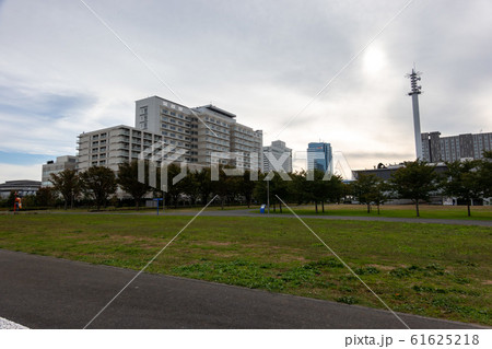 東京臨海広域防災公園 61625218