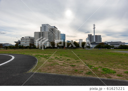 東京臨海広域防災公園 61625221