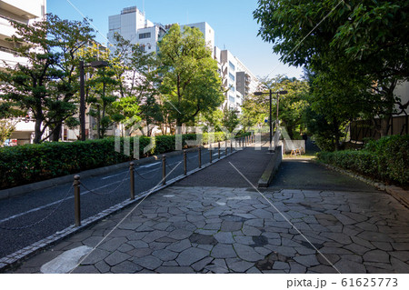 洲崎川緑道公園 洲崎川緑道公園 61625773