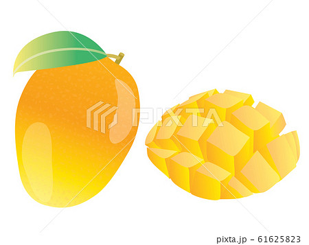 丸ごととカットされた黄色いマンゴーのイラスト素材