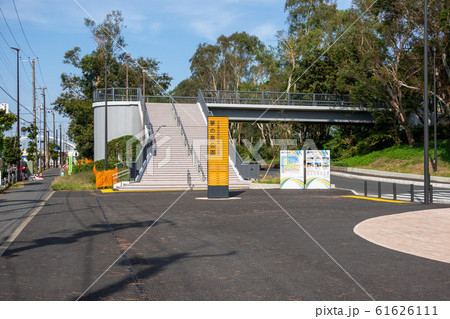 夢の島公園 61626111