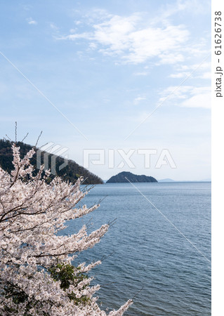 奥琵琶湖パークウェイから遠望する満開の桜の向こうに見える竹生島 奥琵琶湖パークウェイから遠望する満開の桜の向こうに見える竹生島 61626738