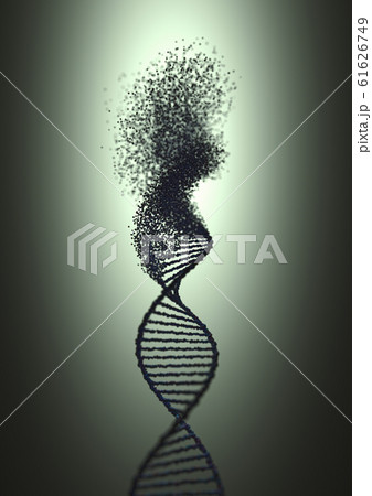 Oxidative DNA Damage Genetic Disorder Molecular Oxidative DNA Damage Genetic Disorder Molecular 61626749
