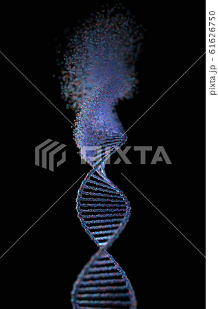 Oxidative DNA Damage Genetic Disorder Molecular Oxidative DNA Damage Genetic Disorder Molecular 61626750