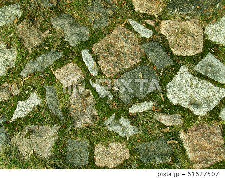 Stone road with moss. Stone road with moss. 61627507