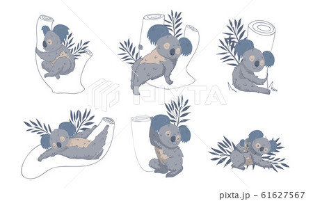 Cute Stylized Koala Animal Embracing Tree Trunk Vector Set Cute Stylized Koala Animal Embracing Tree Trunk Vector Set 61627567