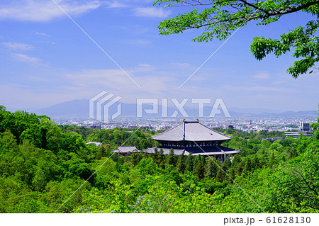 東大寺と奈良の市街地-2 東大寺と奈良の市街地-2 61628130