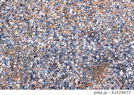 Natural background with small shells on sand on sea beach, closeup view. 61628677