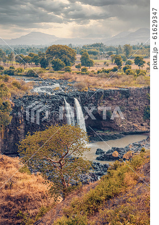 Blue Nile Falls in Bahir Dar, Ethiopia 61629347