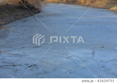 Frozen winter lake in public park 61629733