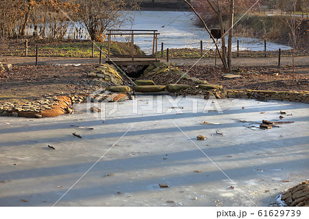Frozen winter lake in public park 61629739