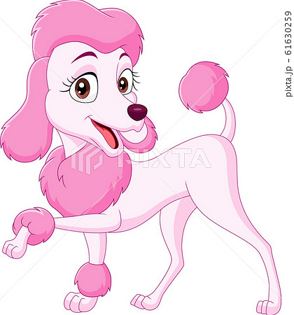 Cartoon happy pink poodle isolated on white background 61630259