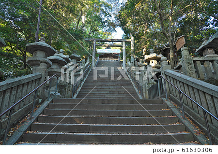 【金刀比羅宮 参道】 香川県仲多度郡琴平町 【金刀比羅宮 参道】 香川県仲多度郡琴平町 61630306