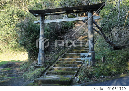 梅君ヶ城跡(さつま町指定文化財) 梅君ヶ城跡(さつま町指定文化財) 61631590