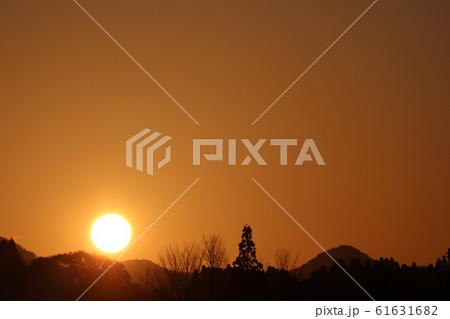 夕日 61631682