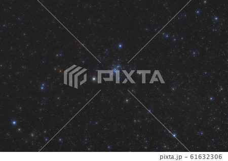 かに座 かに座 61632306