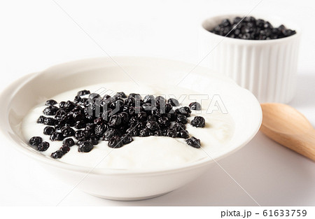 ドライブルーベリー ヨーグルト ドライフルーツ ブルーベリー ドライブルーベリー ヨーグルト ドライフルーツ ブルーベリー 61633759