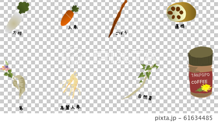 Ingredients for roots with kanji - Stock Illustration [61634485] - PIXTA