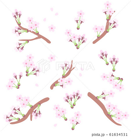 桜の花 つぼみ 枝セットのイラスト素材