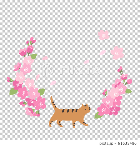 櫻花和貓框架 61635486