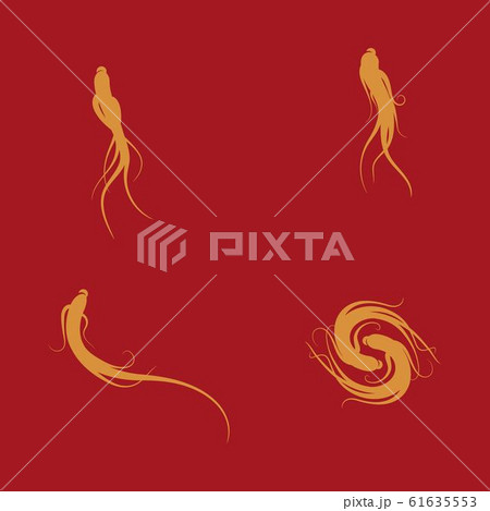 Ginseng vector icon illustration Ginseng vector icon illustration 61635553