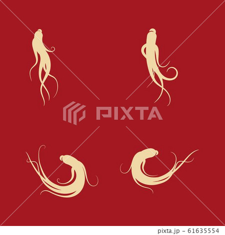 Ginseng vector icon illustration 61635554