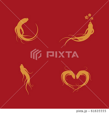 Ginseng vector icon illustration Ginseng vector icon illustration 61635555