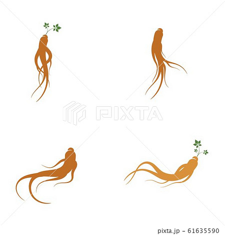 Ginseng vector icon illustration 61635590