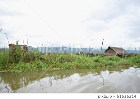 floating farm 61636214