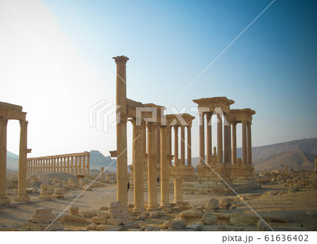 Panorama of Palmyra columns, Tetrapylon, ancient 61636402