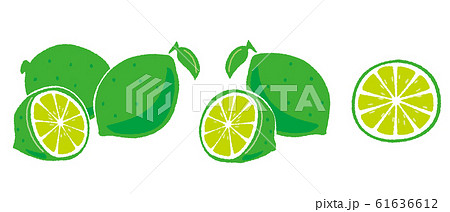 ライムのイラストのイラスト素材 ライムのイラストのイラスト素材