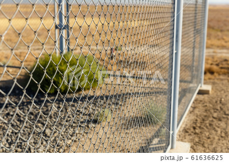 Metal wire fence or wire mesh steel Metal wire fence or wire mesh steel 61636625