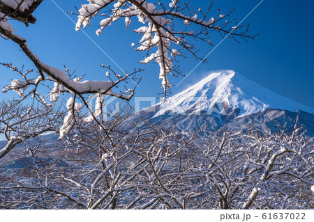 《山梨県》積雪の富士山・日本の冬 61637022