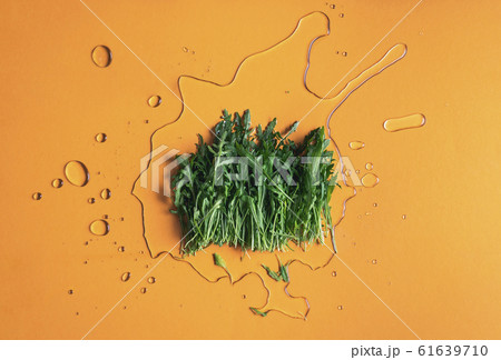 Arugula leaves on orange background and water. 61639710