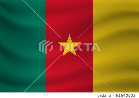 Waving flag of Cameroon. Vector illustration 61640902