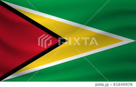 Waving flag of Guyana. Vector illustration 61640976