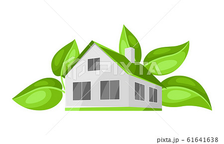 Green house concept illustration. Green house concept illustration. 61641638