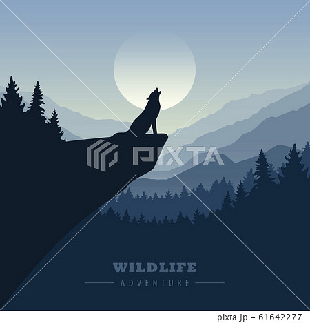 wolf on a cliff howls at full moon blue nature landscape 61642277