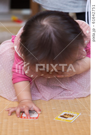 1歳　選び取り 61642751