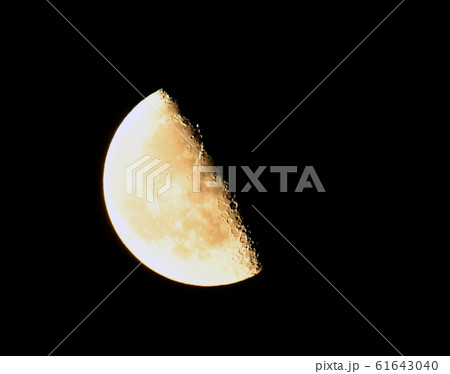 半月 半月 61643040