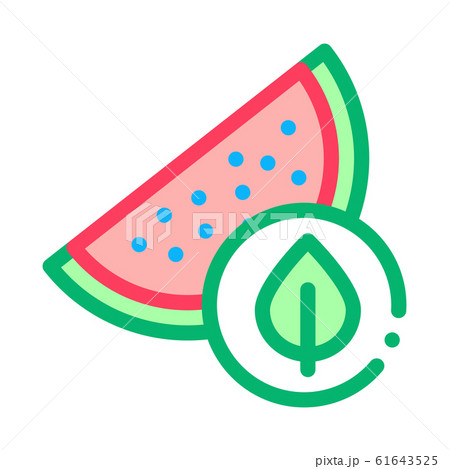 Watermelon Leaf Icon Vector Outline Illustration Watermelon Leaf Icon Vector Outline Illustration 61643525