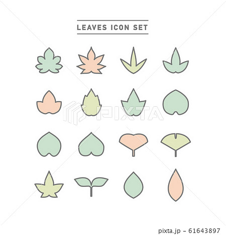 LEAVES ICON SET 61643897