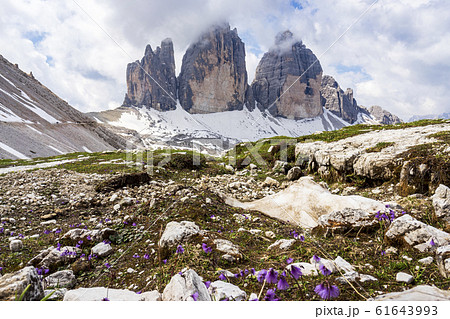 Tre Cime di Lavaredo. Majestic peaks in the 61643993
