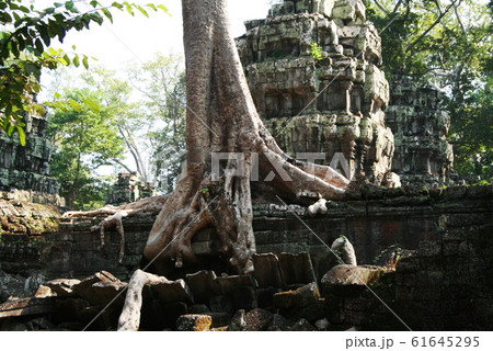カンボジア世界遺産 アンコール遺跡群 タ・プローム カンボジア世界遺産 アンコール遺跡群 タ・プローム 61645295