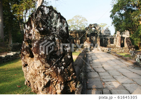 カンボジア世界遺産　アンコール遺跡群　タ・プローム　 61645305